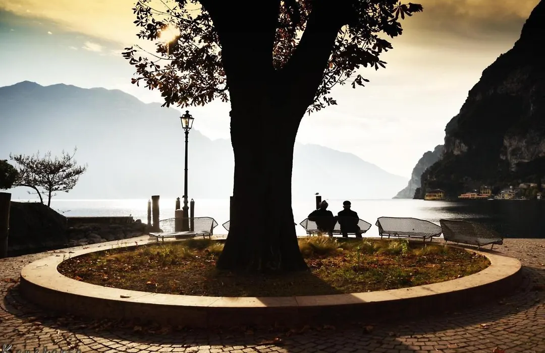 Riva City View-1